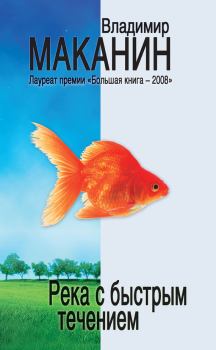 Обложка книги - Река с быстрым течением - Владимир Семенович Маканин