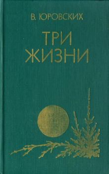 Книга - Три жизни. Василий Иванович Юровских - читать в ЛитВек