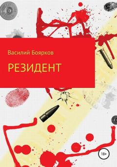 Книга - Резидент. Василий Вячеславович Боярков - читать в Литвек