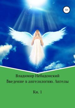 Книга - Введение в ангелологию. Ангелы. Владимир Небадонский - прочитать в Литвек