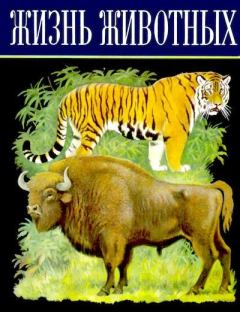 Обложка книги - Жизнь животных. Том 6. Млекопитающие, или звери - Лев Александрович Зенкевич