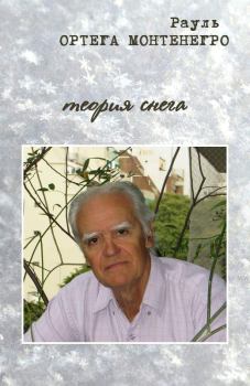 Обложка книги - Теория снега - Рауль Ортега Монтенегро