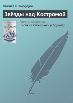 Обложка книги - Звёзды над Костромой - Никита Шамордин