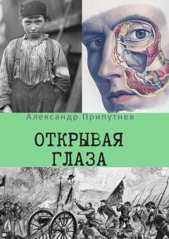 Обложка книги - Открывая глаза - Александр Сергеевич Припутнев