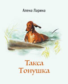 Обложка книги - Такса Тонушка - Алёна Ларина