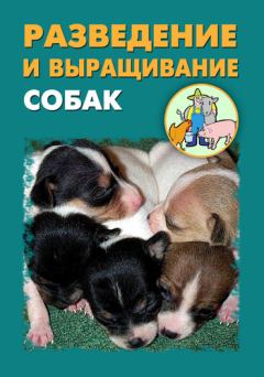 Обложка книги - Разведение и выращивание собак - Александр Александрович Ханников