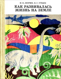 Обложка книги - Как развивалась жизнь на Земле - Владимир Сергеевич Уткин