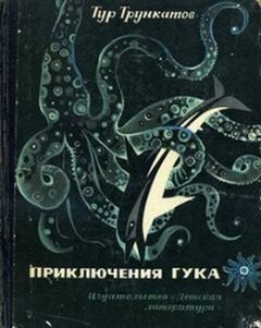 Обложка книги - Приключения Гука - Тур Трункатов