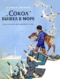 Книга - «Сокол» вышел в море. Семен Семенович Гарин - читать в Литвек