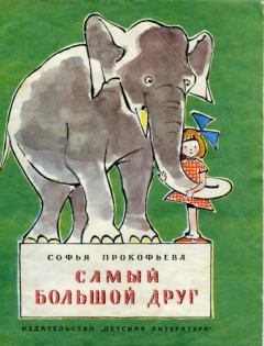 Обложка книги - Самый большой друг - Софья Леонидовна Прокофьева