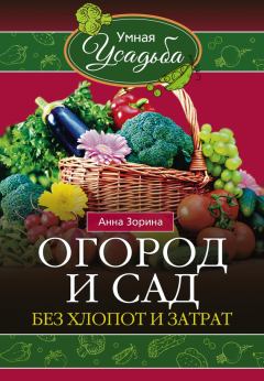 Обложка книги - Огород и сад без хлопот и затрат - Анна Зорина