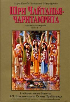 Книга - Шри Чайтанья-чаритамрита. Кришнадаса Кавираджа - читать в Литвек