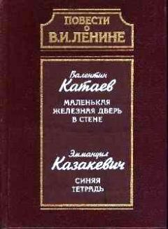 Книга - Синяя тетрадь. Эммануил Генрихович Казакевич - прочитать в Литвек