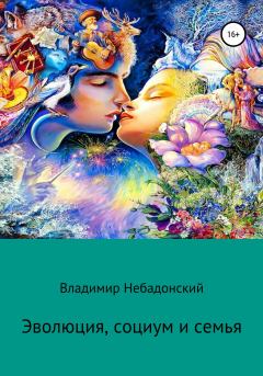 Обложка книги - Эволюция, социум и семья - Владимир Небадонский
