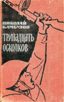 Книга - Тринадцать осколков. Николай Иванович Камбулов - читать в Литвек