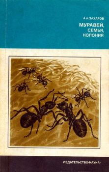 Обложка книги - Муравей, семья, колония - Анатолий Александрович Захаров