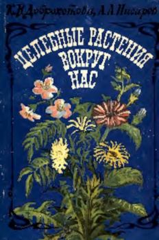 Обложка книги - Целебные растения вокруг нас - Ксения Владимировна Доброхотова