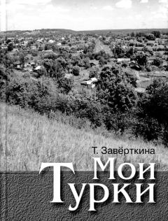 Книга - Мои Турки. Тамара Петровна Заверткина - читать в Литвек