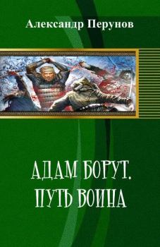Обложка книги - Адам Борут. Путь воина - Александр Перунов
