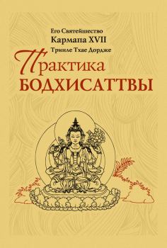 Книга - Практика Бодхисаттвы. Тринле Тхае Дордже Кармапа XVII - читать в Литвек