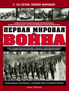 Обложка книги - Первая Мировая война - Илья Викторович Песков