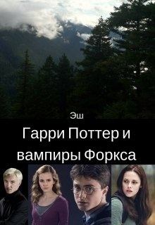 Книга - Гарри Поттер и вампиры Форкса [СИ]. Хелена Грин - читать в Литвек