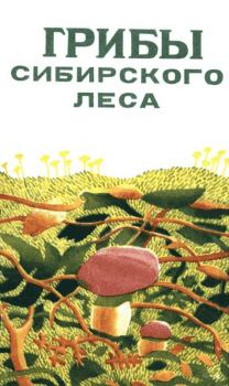 Обложка книги - Грибы сибирского леса - В. Н. Ручкин