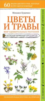 Обложка книги - Цветы и травы. Мир удивительных растений - Михаил Евгеньевич Куценко