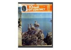 Книга - Юный натуралист 1983 №11. Журнал «Юный натуралист» - читать в Литвек