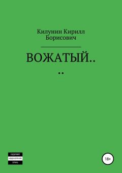 Книга - Вожатый…. Кирилл Борисович Килунин - прочитать в Литвек