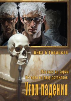 Обложка книги - Угол падения - Анkа Б. Троицкая