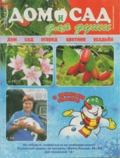 Книга - Дом и сад для души 2013 №12(72).  журнал Дом и сад для души - читать в Литвек