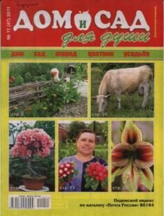 Книга - Дом и сад для души 2011 №11(47).  журнал Дом и сад для души - читать в Литвек