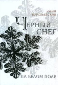 Книга - Черный снег на белом поле. Юрий Юрьевич Воробьевский - читать в Литвек