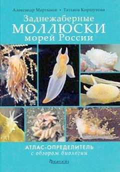 Книга - Заднежаберные моллюски морей России. Александр Владимирович Мартынов - читать в Литвек