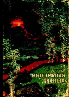 Обложка книги - Неоткрытая планета - Борис Валерианович Ляпунов