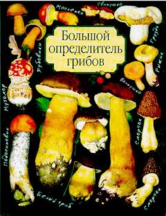 Книга - Большой определитель грибов. А. В. Юдин - читать в ЛитВек