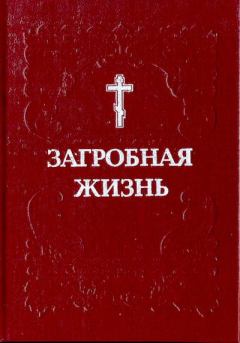 Книга - Загробная жизнь. монах Митрофан  - читать в Литвек