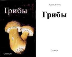Обложка книги - Грибы - Аурел Дермек
