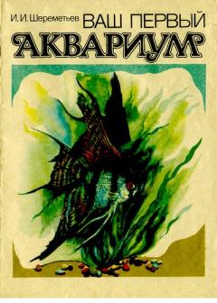 Обложка книги - Ваш первый аквариум - И. И. Шереметьев