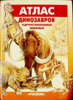 Книга - Атлас динозавров и других ископаемых животных. Евгений Николаевич Курочкин - читать в Литвек