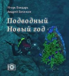 Книга - Подводный новый год. Игорь Бондарь - читать в Литвек