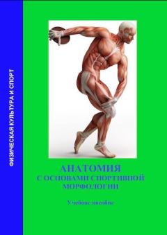Книга - Анатомия с основами спортивной морфологии. П И Кривошапкин - прочитать в Литвек