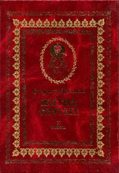 Книга - Жития святых - X - июнь. Димитрий Ростовский, святитель - читать в Литвек