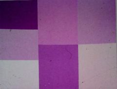 Обложка книги - Множества решений уравнения и неравенства с двумя переменными - Юрий Николаевич Макарычев