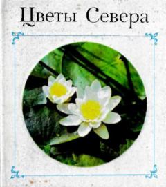 Обложка книги - Цветы Севера - Юрий Владимирович Линник