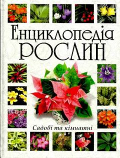 Обложка книги - Енциклопедія рослин садових та кімнатних - Світлана Ануфрієва