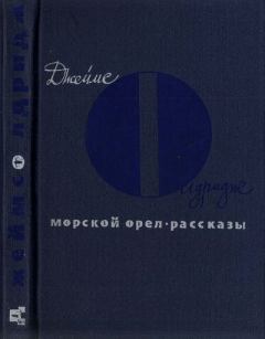Книга - Морской орел. Джеймс Олдридж - читать в Литвек