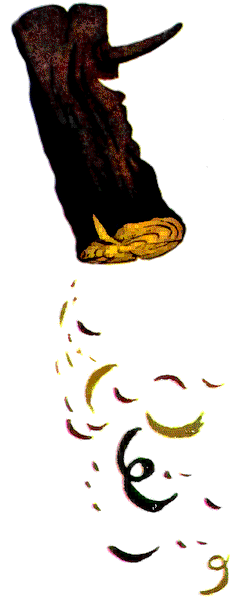 Золотий ключик, або Пригоди Буратіно. Иллюстрация № 8
