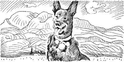 Глупые собаки. Иллюстрация № 1